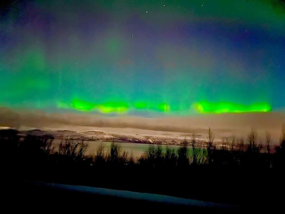 Egen Modern Mysig Laegenhet Apartment Kiruna Bagian luar foto