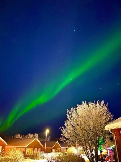 Egen Modern Mysig Laegenhet Apartment Kiruna Bagian luar foto