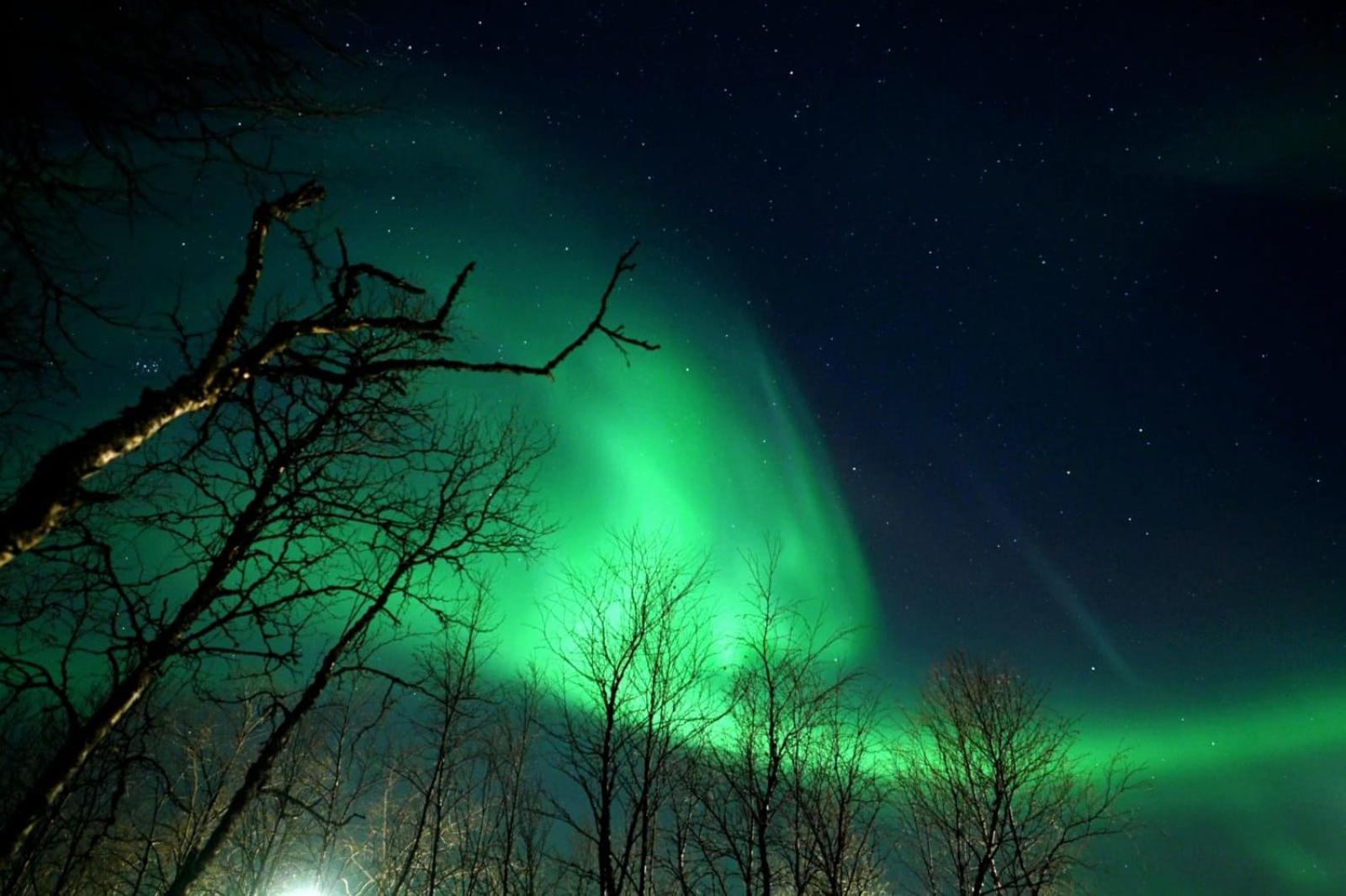 Egen Modern Mysig Laegenhet Apartment Kiruna Bagian luar foto